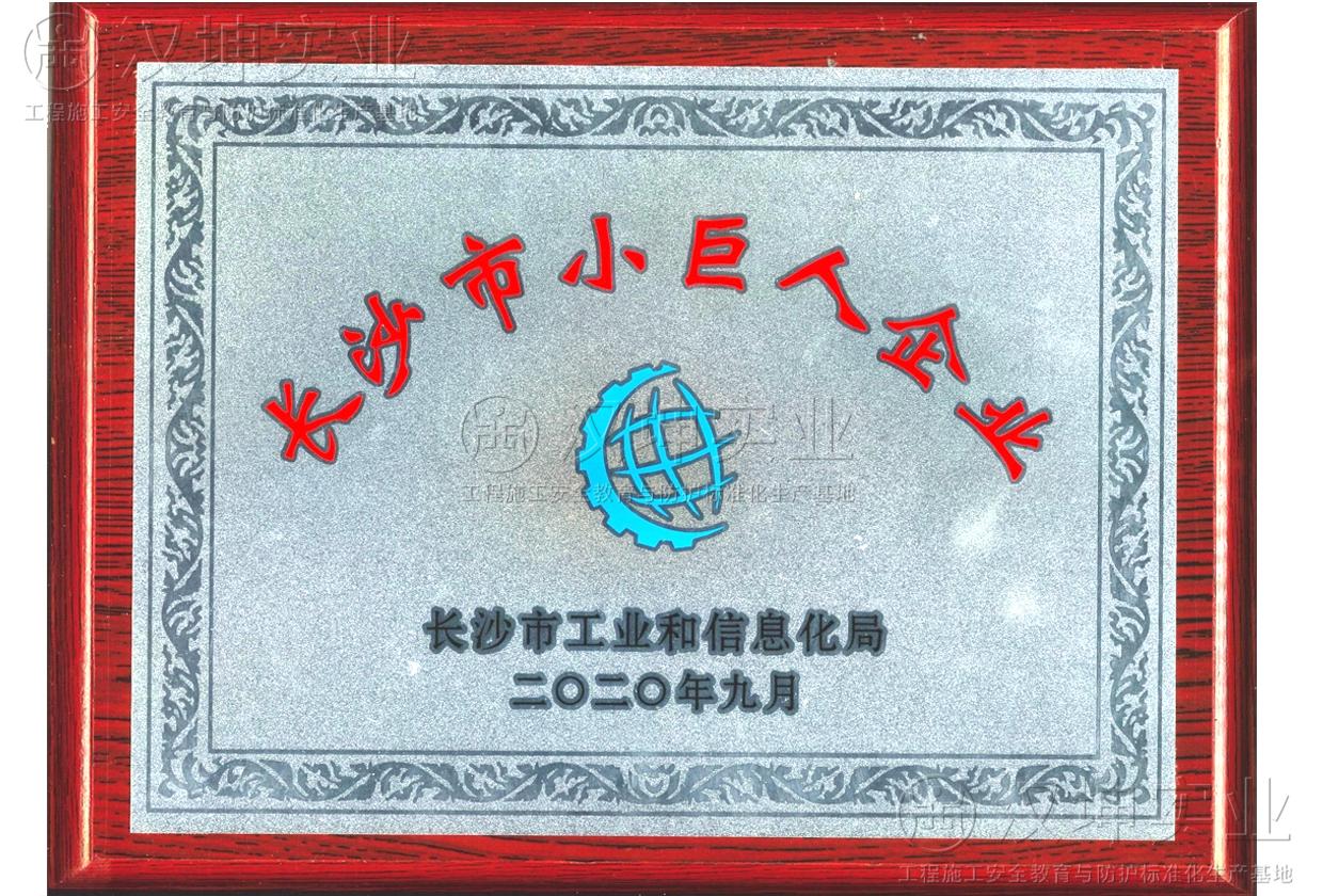 長(cháng)沙市小巨人